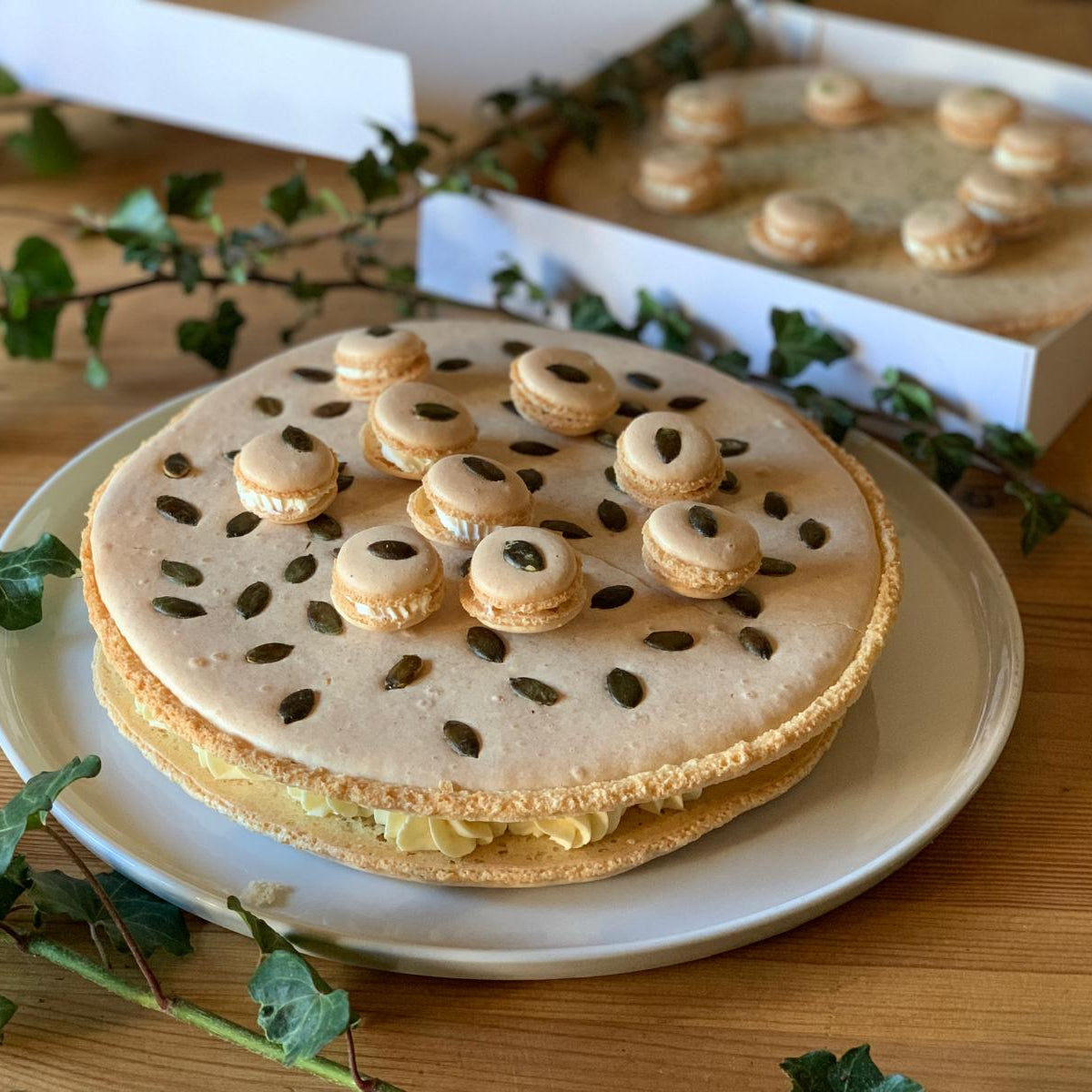 Macaron GEANT