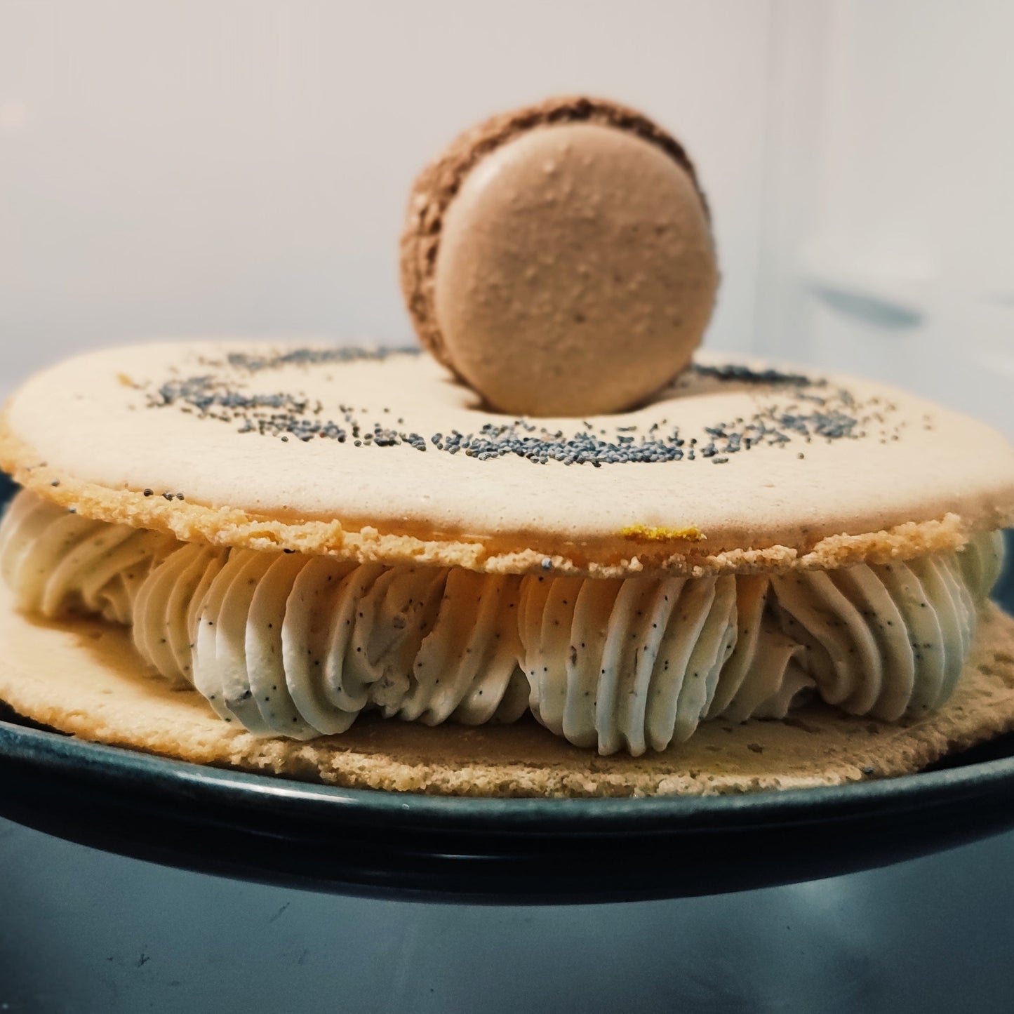 Macaron GEANT