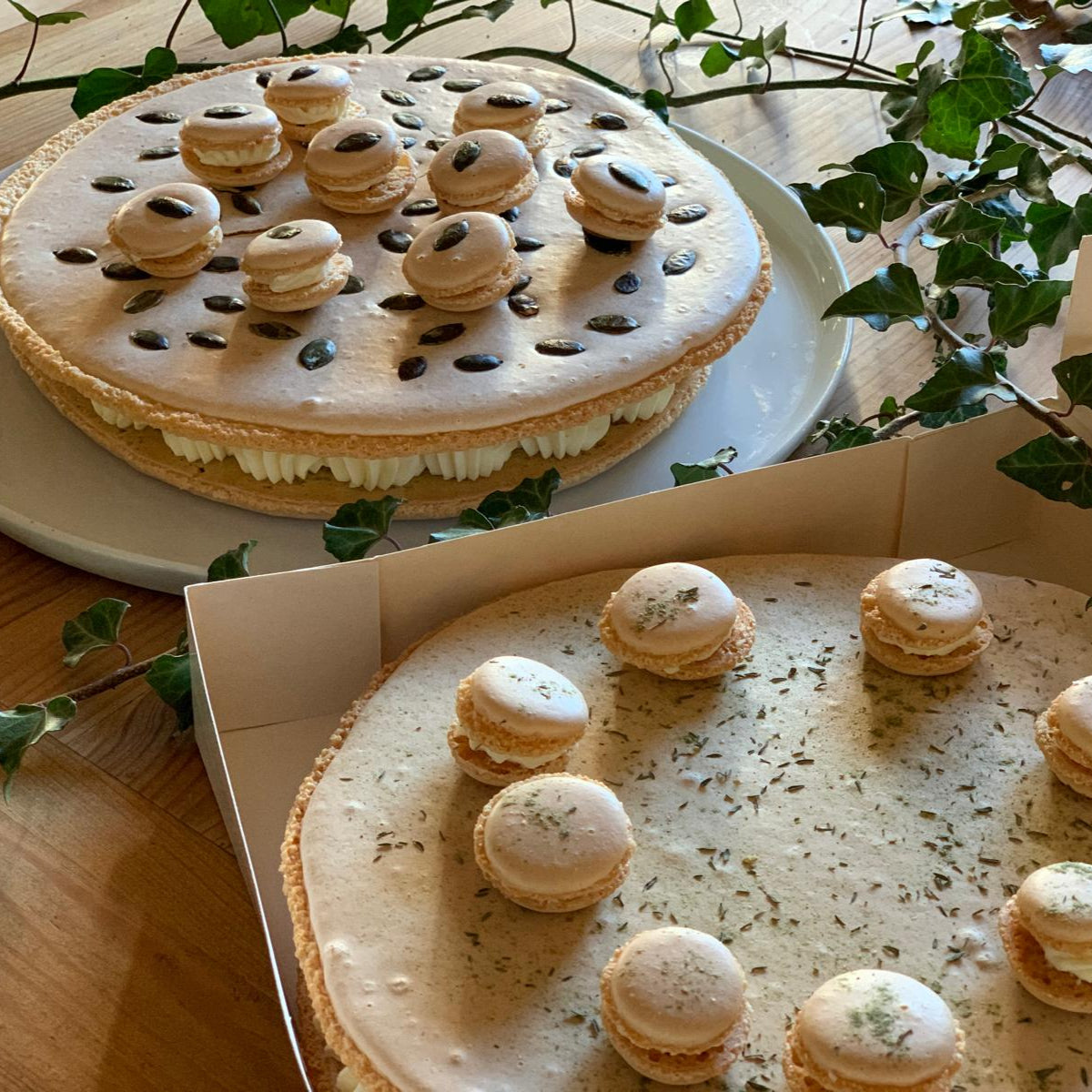 Macaron GEANT